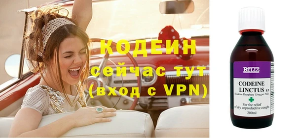 амф Бородино