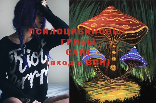 амф Бородино