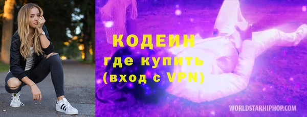 амф Бородино