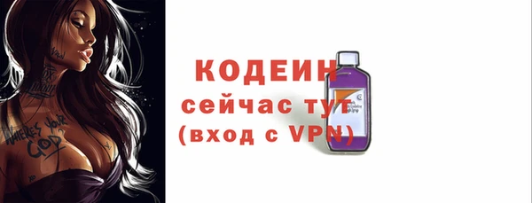 амф Бородино