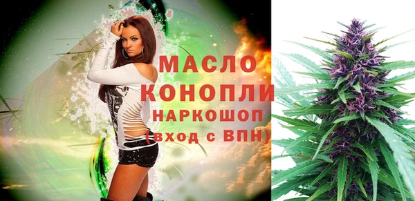 амф Бородино