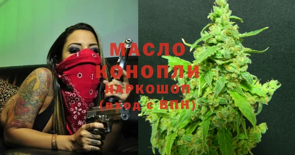 амф Бородино