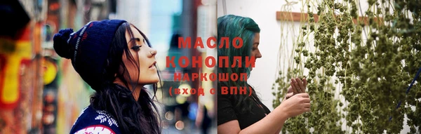 амф Бородино