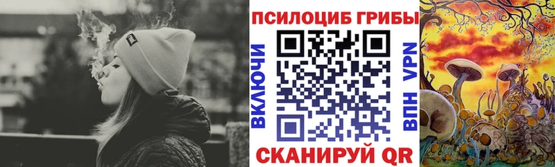 shop как зайти Сосногорск Псилоцибиновые грибы Magic Shrooms